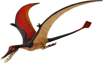 Obrázek produktu pro Safari S300329 - Ramphorhynchus