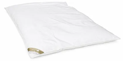 Produktbild von Betten Hofmann Winterbett Oberbett Daunenbett Ballonbett 155x220 cm 2300g 60% Daunenanteil