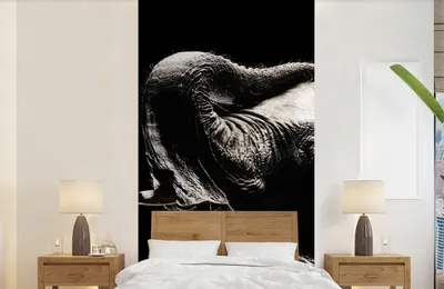 Produktbild von MuchoWow® Fototapete für Wohnzimmer oder Schlafzimmer Wandtapete Vinyl Motivtapete Elefant in Schwarz und Weiß - 120x240 cm - Hintergrundbild