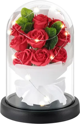 Produktbild von Ewige Rose LED-Lampe im Glas, leuchtende Geschenkidee für Frauen – wunderschöne rote
