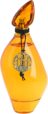 Image de Parfum pour femme Ambar Jesus Del Pozo EDT (100 ml)