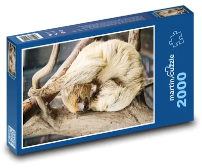 Zdjęcie produktu dla martinpuzzle - Puzzle 2000 - Lenochod