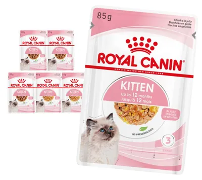 Produktbild von Royal Canin FHN Kitten Instinctive 6x85g Nassfutter in Sauce und Gelee für Kätzchen bis 12 Monate