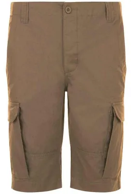 Image de SOLS - Short « Jackson » pour homme LT1920 (40R) (marron)