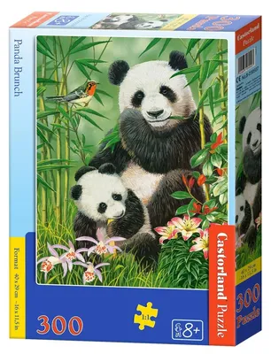 Image de Puzzle 300 pièces Panda Brunch 30507 Castorland