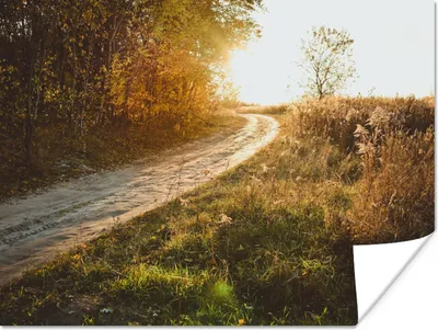 Produktbild von MuchoWow® Poster Weg - Natur - Baum 120x90 cm - Wandbild