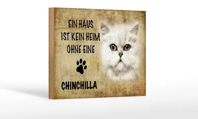 Produktbild von Holzschild Spruch 18x12cm Chinchilla Katze ohne kein Heim