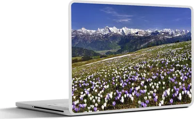 Produktbild von MuchoWow® Laptop Aufkleber Sticker Cover Krokuswiese oberhalb der Berner Alpen in der Schweiz 31x22.5 cm - Laptop-Deko