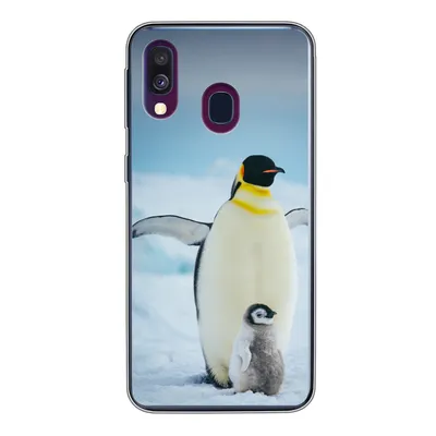 Produktbild von MuchoWow® Handyhülle Schutzhülle Hülle für Samsung Galaxy A40 Kaiserpinguin mit Jungen Silikon Softcase Handy Hülle - Handy-Tasche