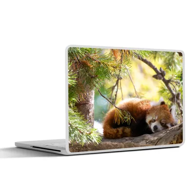 Produktbild von MuchoWow® Laptop Aufkleber Sticker Cover Panda - Holz - Pflanzen 30x21 cm - Sticker für Laptop - Selbstklebend