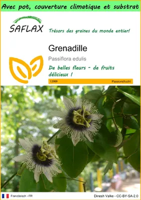 Image de SAFLAX Garden to go - Grenadille - 40 graines - Passiflora