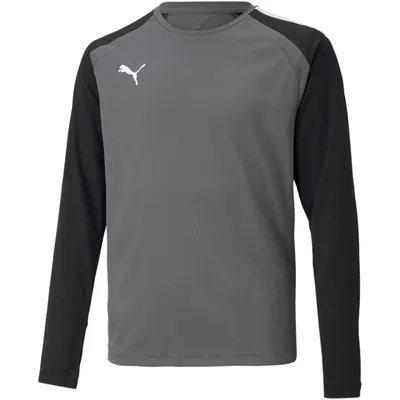 Obrázek produktu pro Mikiny Puma Teampacer Gk B23744