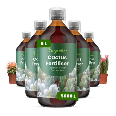 Produktbild von Kakteen Flüssigdünger 5x1L – 2-1-8 NPK – Flüssigdünger Für Sukkulenten & Kakteen – Für Wurzeln & Kräftige Pflanzen – Organifer