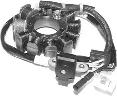 Immagine prodotto di Statore SGR Trifase 11 poli con Pick-up