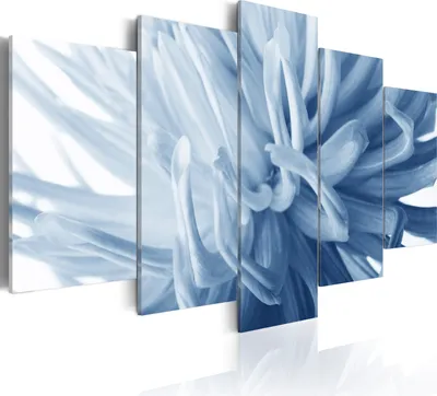 Immagine prodotto di Quadri decorativi con fiori, 100x50 cm, set di 5 pezzi – Stampe su tela moderne, decorazioni per la parete della camera da letto, quadri su tela, immagini per il soggiorno. Codice prodotto: 030210-66