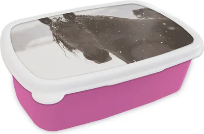 Produktbild von KitchenYeah® Lunchbox Brotzeit Brotdose 17x11 cm Friesisches Pferd im Schnee Kinder Brotzeitdose - Lunchpaket - Brotkasten  - Sandwich Box