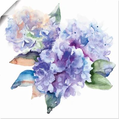 Produktbild von ARTland Poster Hortensien Größe: 30x30 cm