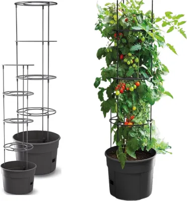 Immagine prodotto di Vaso per piante di pomodoro con scala capacità 12 litri