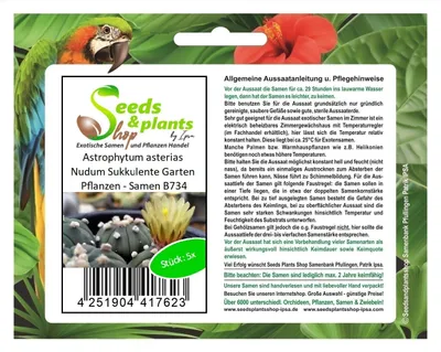 Produktbild von 5x Astrophytum asterias Nudum Sukkulente Garten Pflanzen - Samen B734