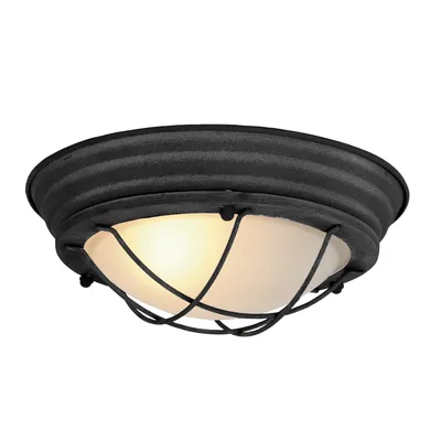 Produktbild von Steinhauer Deckenleuchte Lisanne 1-flammig Schwarz Matt/ Transparent 29x29cm