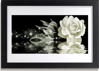 Produktbild von Bild 30x20 MDF-Rahmen Wandkunst Rose-Blumen-Anlage