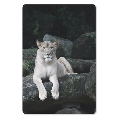Produktbild von MuchoWow® Mauspad Mousepad Löwe - Wilde Tiere - Porträt 18x27 cm - Mousepads - Maus Mat - Pad - Mausunterlage