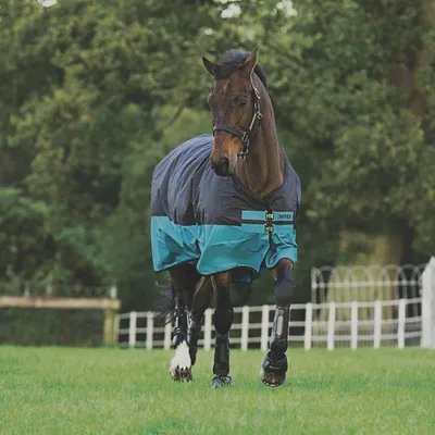 Produktbild von Horseware Mio T/O Lite Turnout Decke wasserdicht Black/Turq & Black HW 20, Größe:5'6
