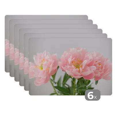Produktbild von KitchenYeah® Platzsets 6er Set Tischset abwaschbar Platzdecken 45x30 cm Blumenstrauß aus rosa Pfingstrosen - Tischmatte Platzmatte Untersetzer rutschfest und Hitzebeständig - Placemat - Tischunterset