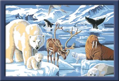 Produktbild von Tiere der Arktis Ravensburger 28909
