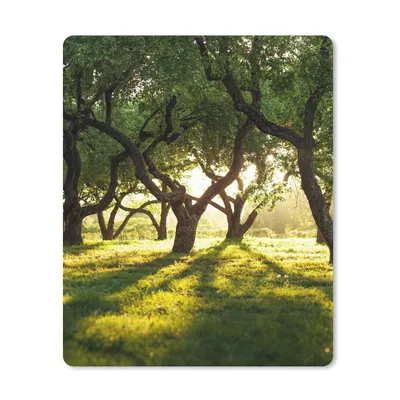 Produktbild von MuchoWow® Mauspad Mousepad Bäume - Natur - Sonne 19x23 cm - Mousepads - Maus Mat - Pad - Mausunterlage - Mauspads - Spielen