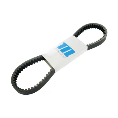Immagine prodotto di Cinghia Trasmissione Variatore 22 x 828 mm