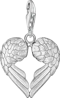 Immagine prodotto di Ciondolo Charm Thomas Sabo 0613-001-12 Ali