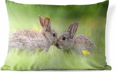 Produktbild von MuchoWow® Outdoor Kissen - Kaninchen - Baby - Gras - 50x30 cm - Wetterfest - Lounge Kissen - Sofa kissen - Wohnzimmer Dekoration