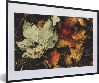 Produktbild von MuchoWow® Gerahmtes Poster Herbstblätter - Herbst - Jahreszeiten - Natur 60x40 cm - Poster mit Schwarzem Bilderrahmen Wandposter Rahmen Foto Bilder - Schlafzimmer - Plakat in Rahmen - Drucken