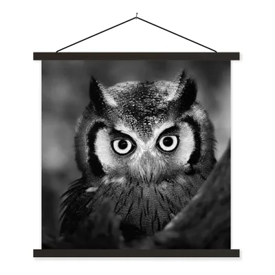 Produktbild von MuchoWow® Textilposter Vogel - Eule - Porträt - Schwarz - Weiß 120x120 cm mit schwarzem Rahmen - Aufhängungsset