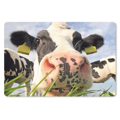 Produktbild von MuchoWow® Mauspad Mousepad Kuh - Bauernhof - Gras - Tiere 27x18 cm - Mousepads - Maus Mat - Pad - Mausunterlage - Büroartikel - Desk Matten