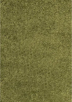 Image de 120x170 cm Pièce tapis Dream Shaggy 4000 vert