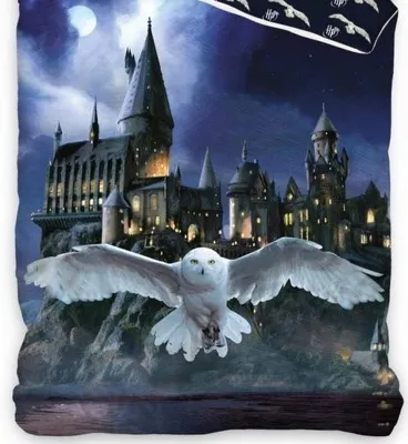 Produktbild von Harry Potter - Hogwarts Eule Hedwig - Bettwäsche-Set, 135x200 & 80x80