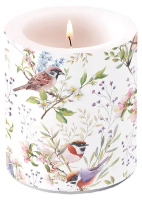 Imagen del producto de Ambiente. Velas decorativas. Vela Stumpen, diámetro 10 cm