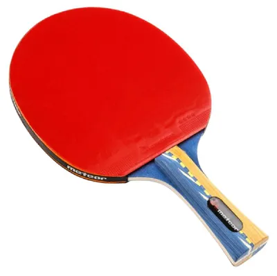Imagen del producto de raketaMeteor, raqueta para tenis de mesa, modelo Windstorm 15018