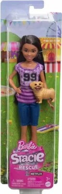 Image de Poupée de cinéma Barbie Ligaya HRM06