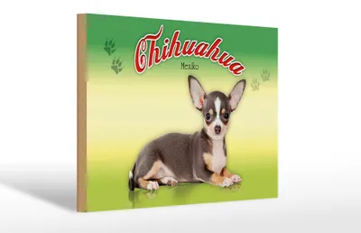 Produktbild von Holzschild Hund 30x20cm Chihuahua Mexiko Wanddeko