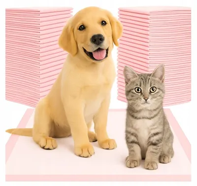 Image de Ekspand | Tapis hygiéniques pour chiens - Rose - 60 x 90 cm - 50 pièces - Absorption jusqu'à 700 ml - Antidérapant