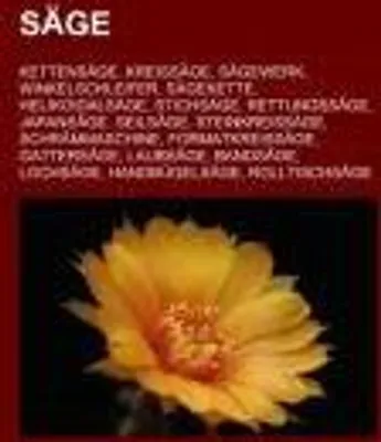 Produktbild von Säge