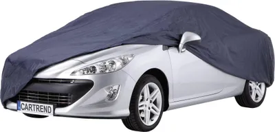 Produktbild von CARTREND Vollgarage S (431x194x149cm) blau