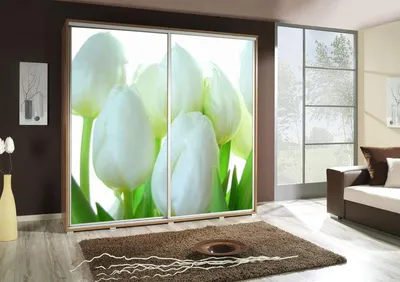 Produktbild von Kleiderschrank GILES Schwebetürenschrank mit Grafiken 205x215 cm