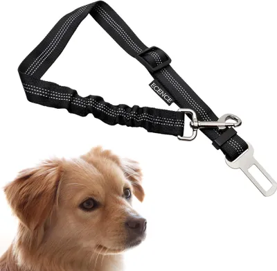 Produktbild von ECENCE 1x Hundegurt fürs Auto Sicherheitsgurt Hunde Anschnallgurt elastisch geeignet für alle Aut