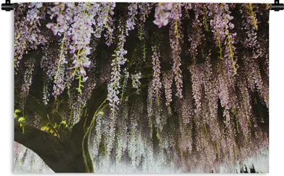 Produktbild von MuchoWow® Wandteppich Wandbehang Japanische Glyzinie 60x40 cm Tapisserie Dekoration Wandtuch - Wanddekorationen