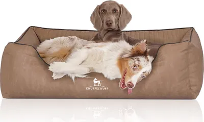 Produktbild von Knuffelwuff Orthopädisches Hundebett Tampa aus laser-gestepptem Kunstleder XXL 120 x 85cm Camel