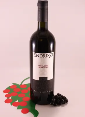 Produktbild von Teroldego Rotaliano - 2022 - Kellerei Endrizzi